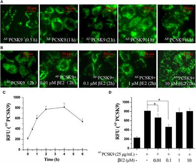 17β-Estradiol Inhibits PCSK9-Mediated LDLR Degradation Through GPER/PLC Activation in HepG2 Cells